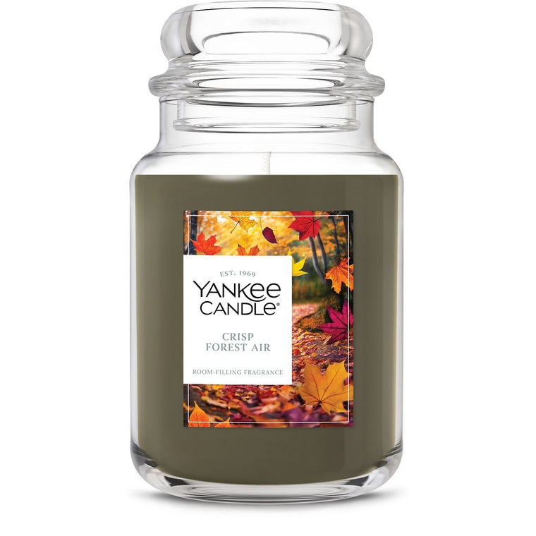 Crisp Forest Air Original Large Jar Candle V0
